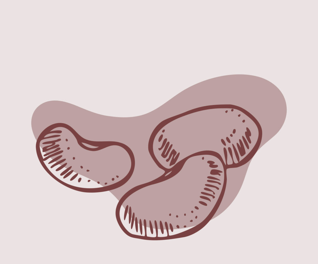 Eine einfache, skizzenhafte Illustration von drei Kidney Bohnen in Braun auf einem hellbraunen Hintergrund.